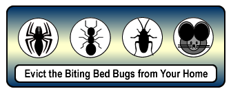 Bedbug Spraying Tulsa