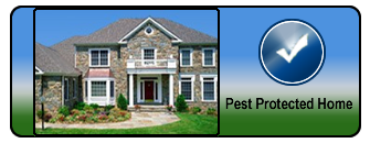 Home Pest Services