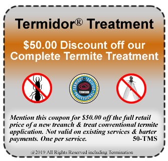Termite Service Coupon