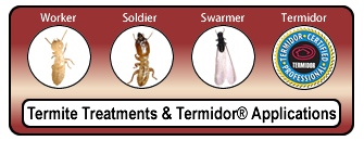 Termite Spraying Tulsa